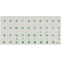 Наклейка на клавіатуру BRAIN green (STBRTRGREEN)