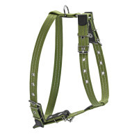 Dog harness Collar for medium dogs 47-72 cm green (0637)