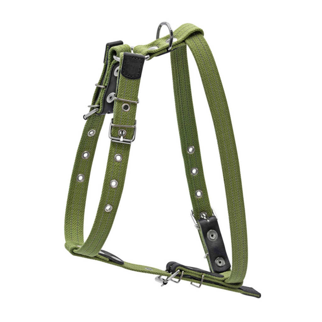 Шлея для собак Collar для середніх собак 47-72 см зелена (0637)