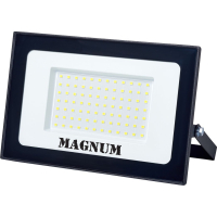 Searchlight MAGNUM FL12 ECO LED 100W slim 6500K IP65 (90018087)