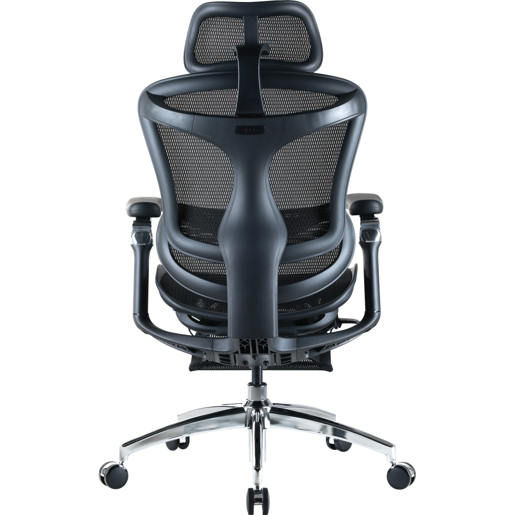 Офісне крісло Sihoo Крісло офісне з підставкою для ніг Sihoo DORO C300 Pro Mesh Black with (DORO-C300-PRO-M101-JT)