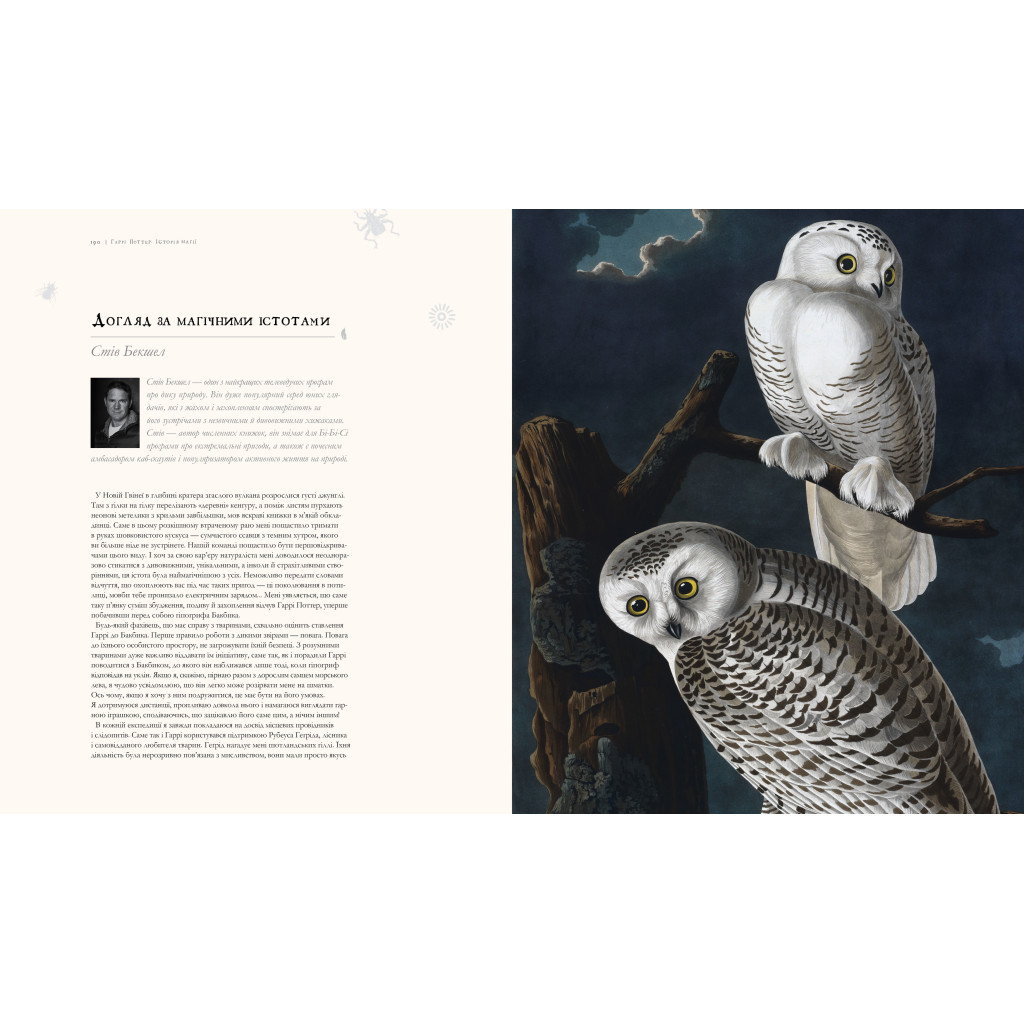 Книга Гаррі Поттер. Історія магії. Велике ілюстроване видання - Джоан Ролінґ А-ба-ба-га-ла-ма-га (9786175851685)