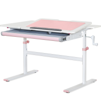 Desk Evo-kids TH-220 Pink (TH-220 W/PN)