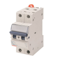 Automatic switch GEWISS 2-p.  6A 6kA C (GW92045)