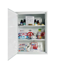 Car first aid kit Poputchik 02-080-IS