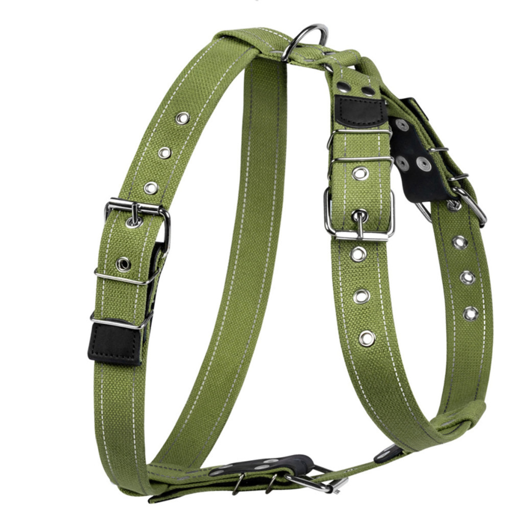 Шлея для собак Collar для великих собак N2 68-91 см зелена (0646) Шлея для собак Collar для великих собак N2 68-91 см зелена (0646)