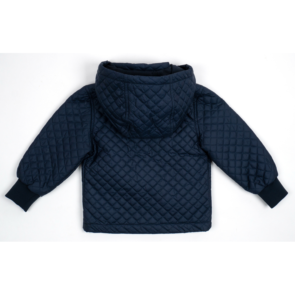 Куртка дитяча Verscon демісезонна з капюшоном (3196-110B-blue)