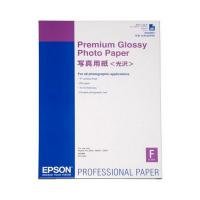 Фотопапір Epson A2 Premium Glossy Photo Paper (C13S042091)