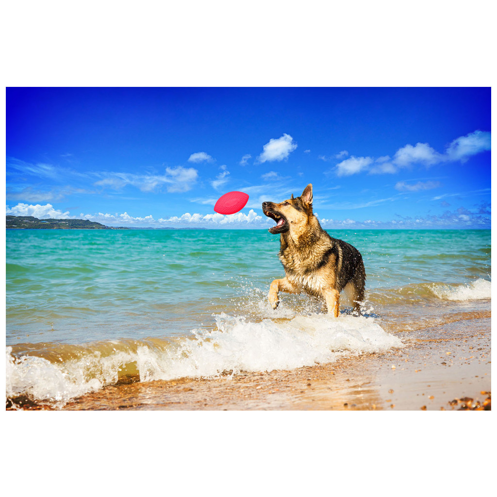 Іграшка для собак Collar PitchDog м'яч для апорту d:9 см рожевий (62417)