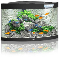 Акваріум Juwel Trigon 190 LED 99x60x70 см 190 л кутовий (чорний) (4022573163506)