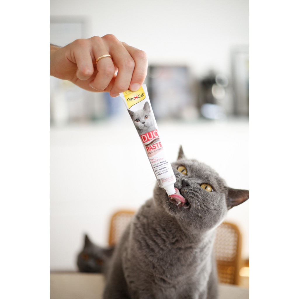 Паста для тварин GimCat DUO PASTE Anti-hairball malt with chicken мальт та курка 50 г (4002064427201)