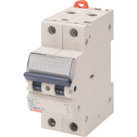 Automatic switch GEWISS 2-p. 16A 6kA C (GW92047)