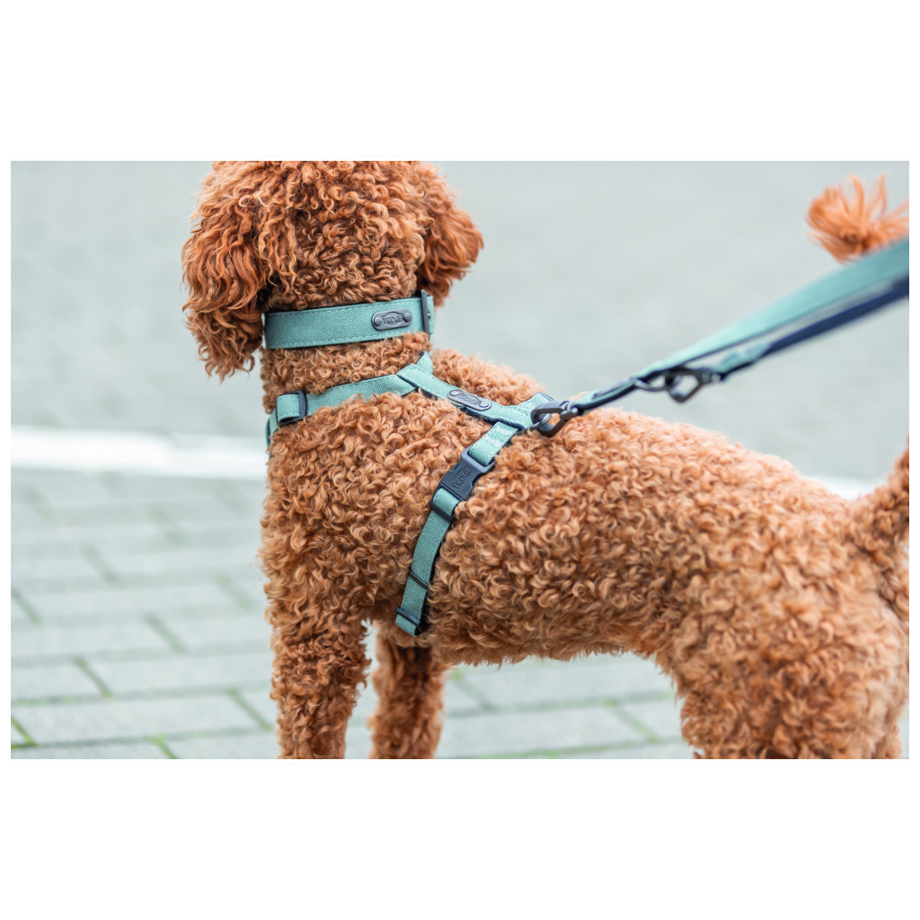 Повідець для собак Trixie CityStyle V-Lead бавовна S–M 2 м 13 мм світло-зелений (4053032681682)