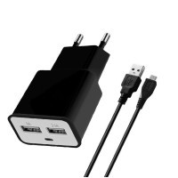 Зарядний пристрій Florence 2*USB, 2.0A + cable microUSB Black (FW-2U020B-M)