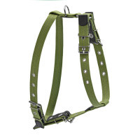 Dog harness Collar for small and medium dogs 36-57 cm green (0635)