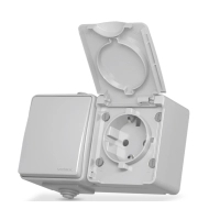 Вимикач Videx BINERA IP65 зовнішня 1ая із заземленням (VF-BNW3-G)