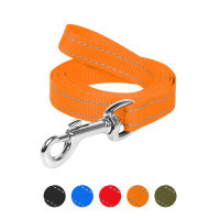 Leash for dogs Dog Extreme made of nylon W 25 mm L 200 cm orange (04684)