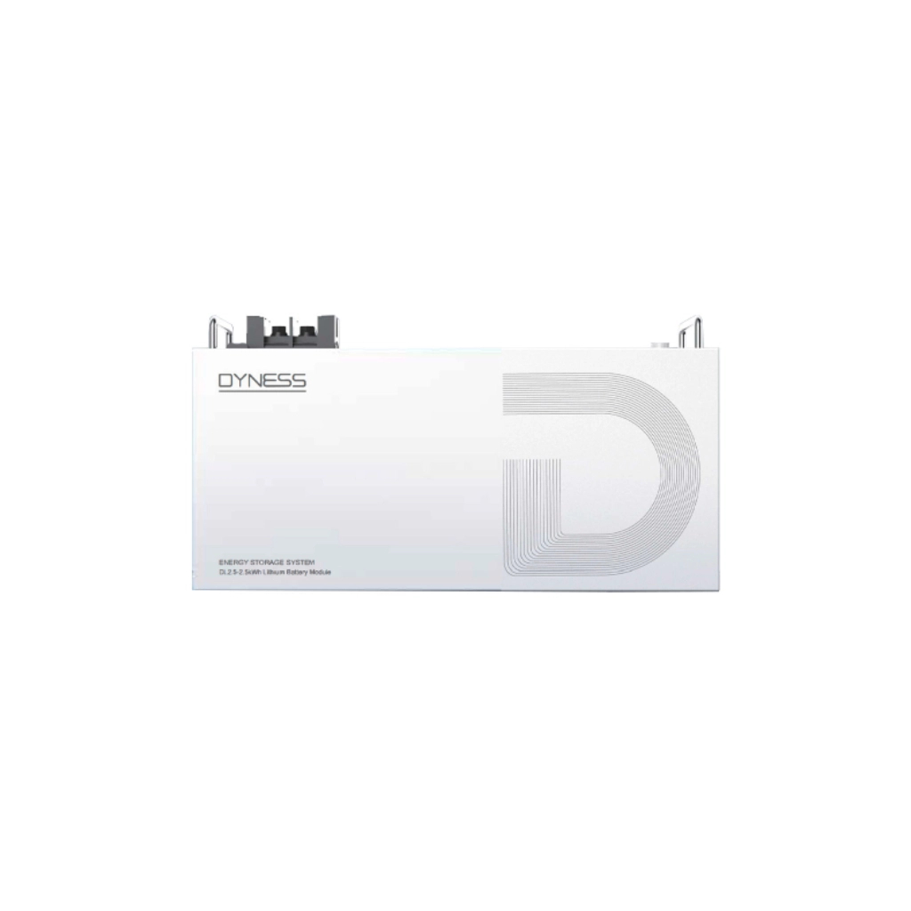 Батарея LiFePo4 Dyness DL2.5, 25.6V/100Аh 2,56kWh (DL2.5)