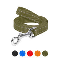 Dog Extreme nylon leash W 25 mm L 200 cm khaki (046831)