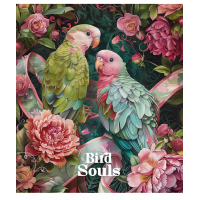 Schoolbook Bird Souls 48 sheets cell (048-3457K)