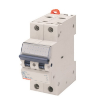 Automatic switch GEWISS 2-p. 32A 6kA C (GW92050)