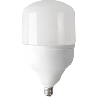 Bulb Eurolight 60W 6400K (VIS-60-E27)
