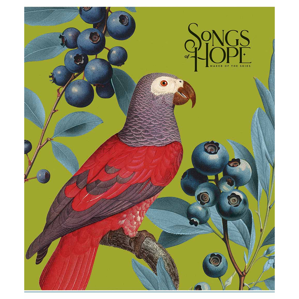 Зошит Школярик Birds 96 аркушів клітинка (096-3410K)