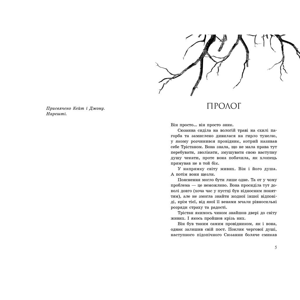 Книга Порушники. Книга 2. Провідник - Клер Мак-Фолл Readberry (9786170972675)