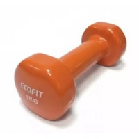 Гантель Ecofit MD2025 з вініловим покриттям 1 кг (K00026984)