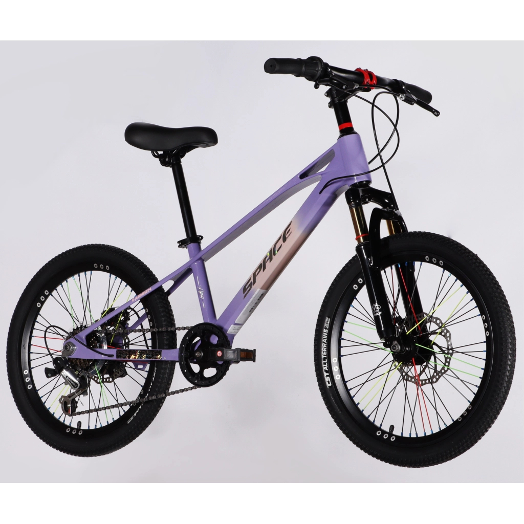 Велосипед Space 20" KID ALIOTH DD FR рама-11" MG 2025 фіолетовий (OPS-SK-20-017)