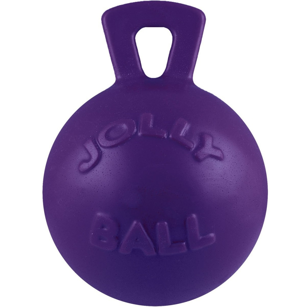 Іграшка для собак Jolly Pets Tug-n-Toss Гиря 7.5 см фіолетова (0788169040357)