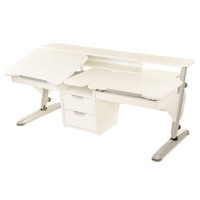 Desk Pondi Ergonomic transformer for 2 children White-gray (BL311СР)