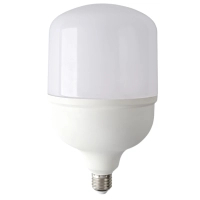 Bulb Eurolight 60W 6400K (VIS-60-E40/E27)