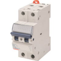 Automatic switch GEWISS 2-p. 50A 6kA C (GW92052)