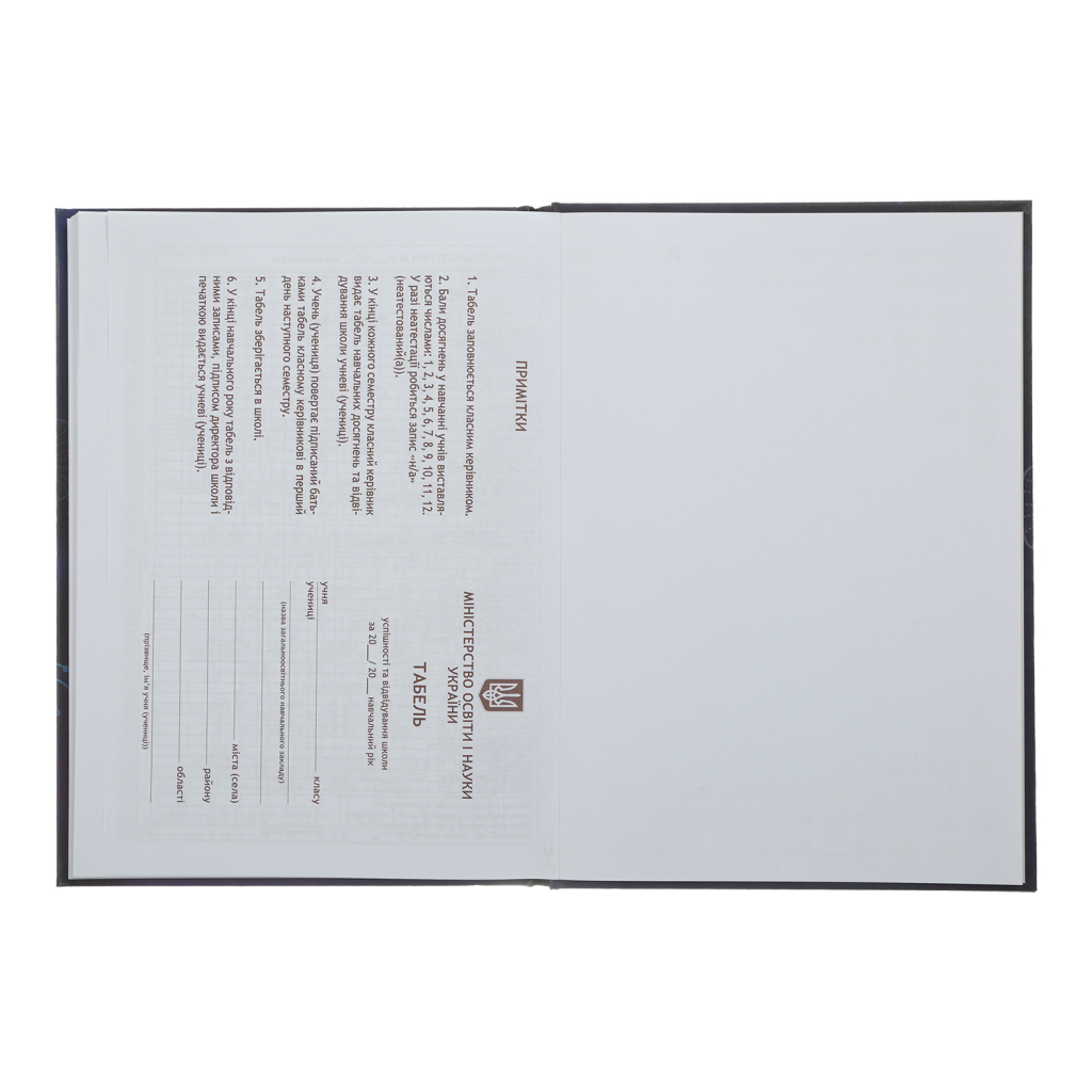 Щоденник шкільний ZiBi Sweet B5 48 аркушів (ZB.13827)