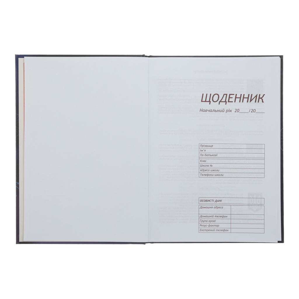 Щоденник шкільний ZiBi Sweet B5 48 аркушів (ZB.13827)