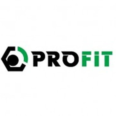 Повітряний фільтр для автомобіля Profit 1512-4289