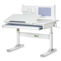 Desk ErgoKids Gray (TH-325 W/G)