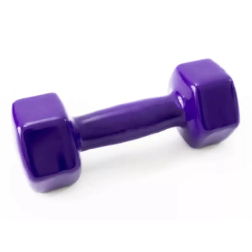 Гантель Ecofit MD2025 з вініловим покриттям 4 кг (K00026987) Гантель Ecofit MD2025 з вініловим покриттям 4 кг (K00026987)