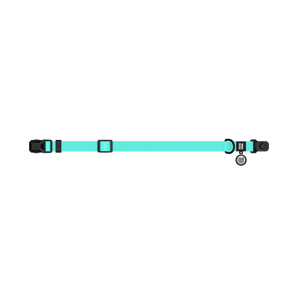 Нашийник для тварин WAUDOG Magnet c QR паспортом, магнітна пряжка-фастекс L тіффані (279627)