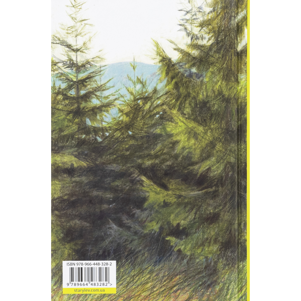 Книга Велике коло - Меґґі Шіпстед Видавництво Старого Лева (9789664483282)