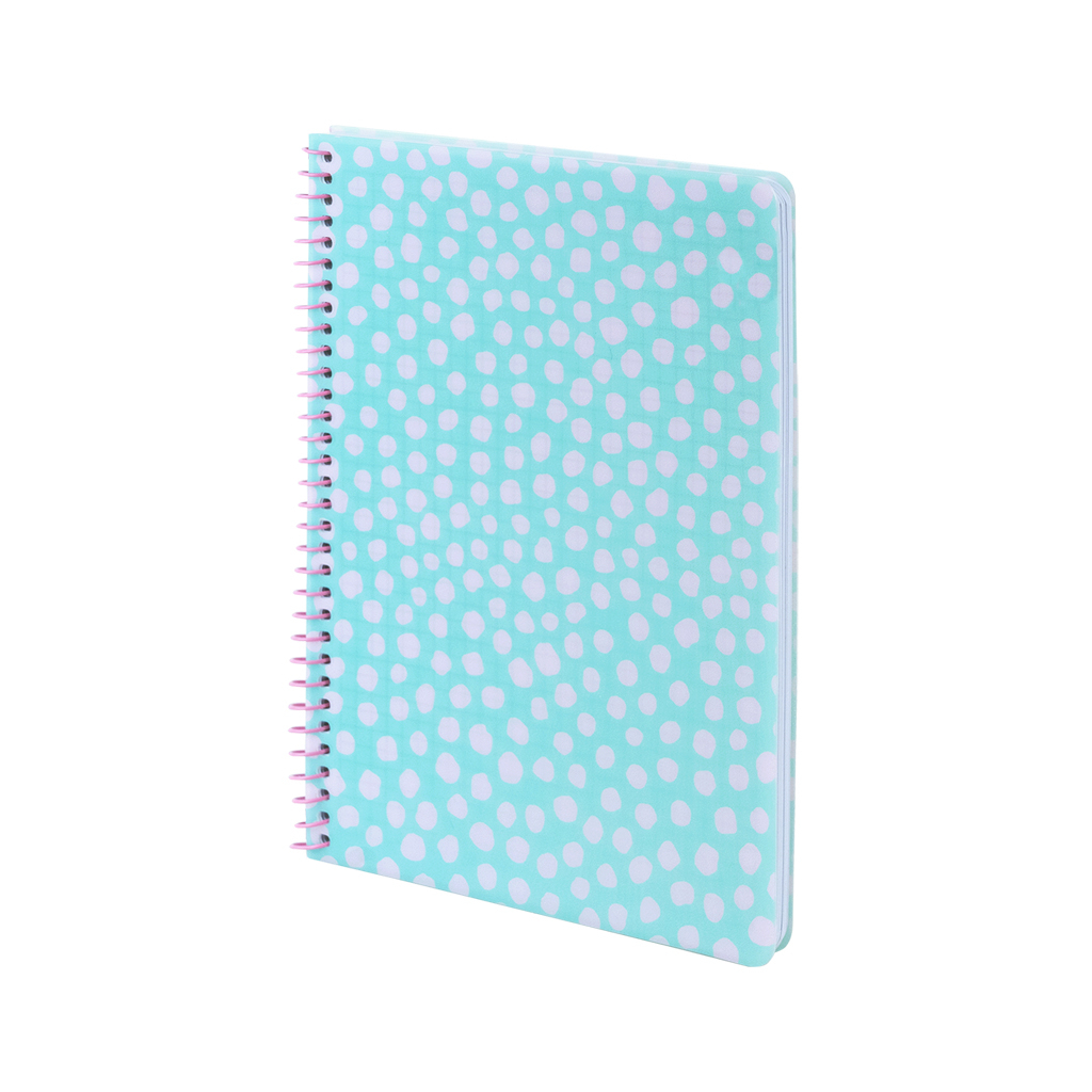 Блокнот Axent на спіралі А5 80 аркушів, клітинка, пластикова обкладинка, блакитний (8462-2-A)