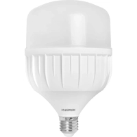 Bulb MAGNUM BL 80 40w E27 6500K (90015908)