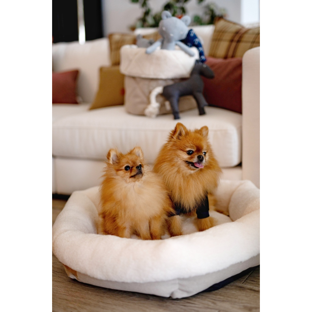 Лежак для тварин Chloe's Home Таллінн S бежевий (CLH4142)