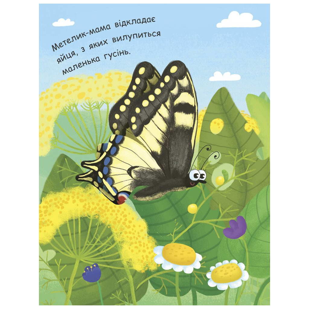 Книга Як народжується метелик? Моя перша енциклопедія - Інна Конопленко Ранок (9789667488352)