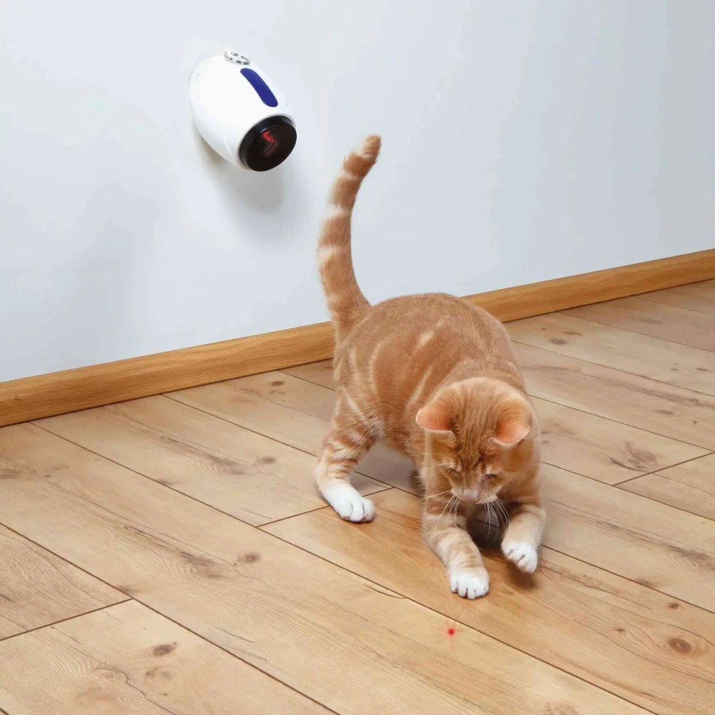 Іграшка для котів Trixie Указка лазерна Moving Light 11 см (4011905413112)