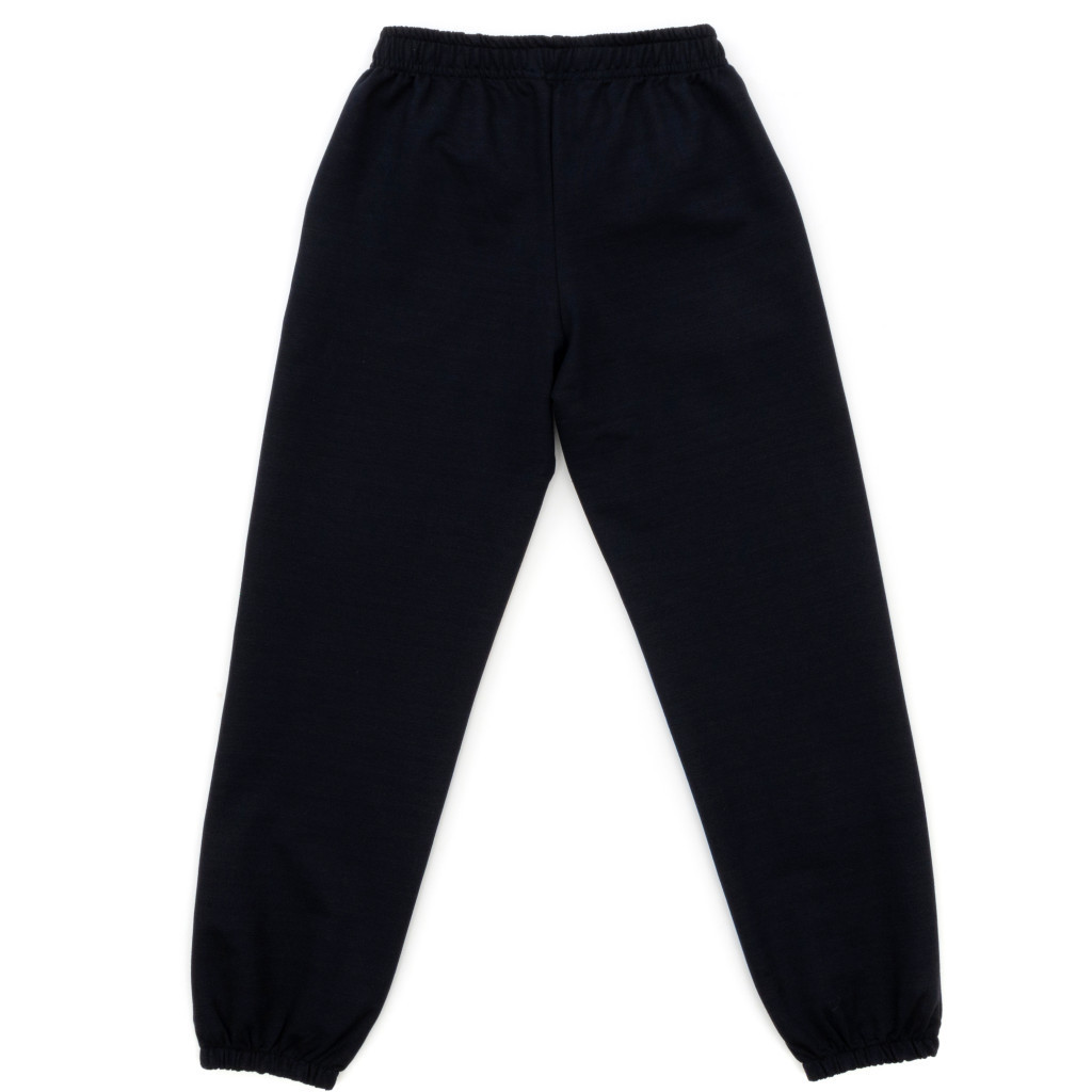 Штани дитячі Breeze спортивні базові (18664-152B-blue)