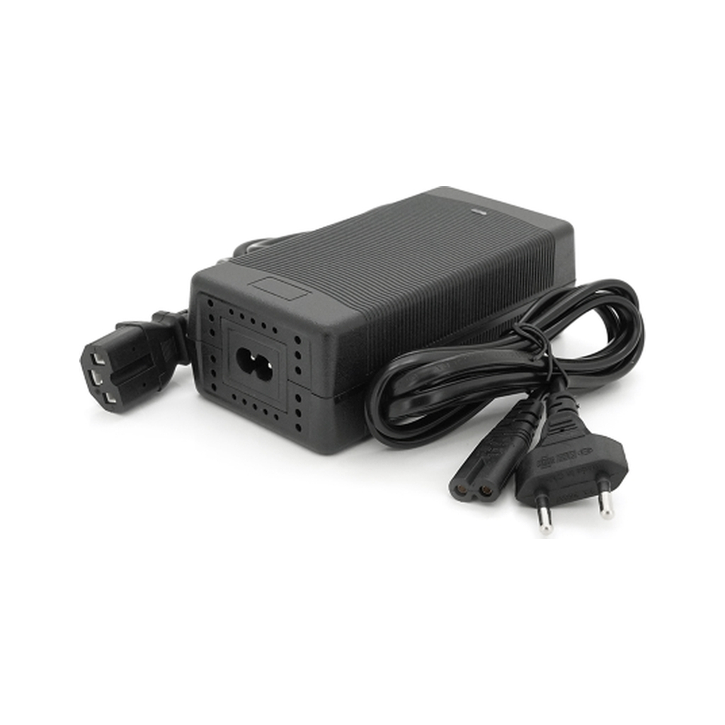 Мережевий зарядний пристрій для АКБ Voltronic LiFePO4 12V (14.6V), 4S,10A (YT-SJT-1468-C13)