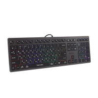 Клавіатура A4Tech FX60H USB Grey Neon backlit (4711421978309)