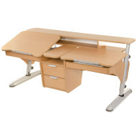 Desk Pondi Ergonomic transformer for 2 children Beech gray (BK311СР)